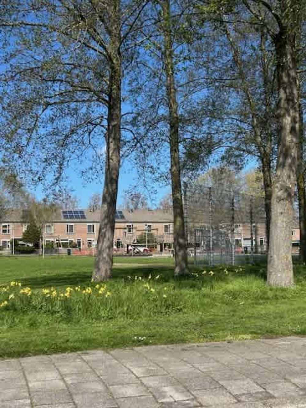 Loefzijde 6