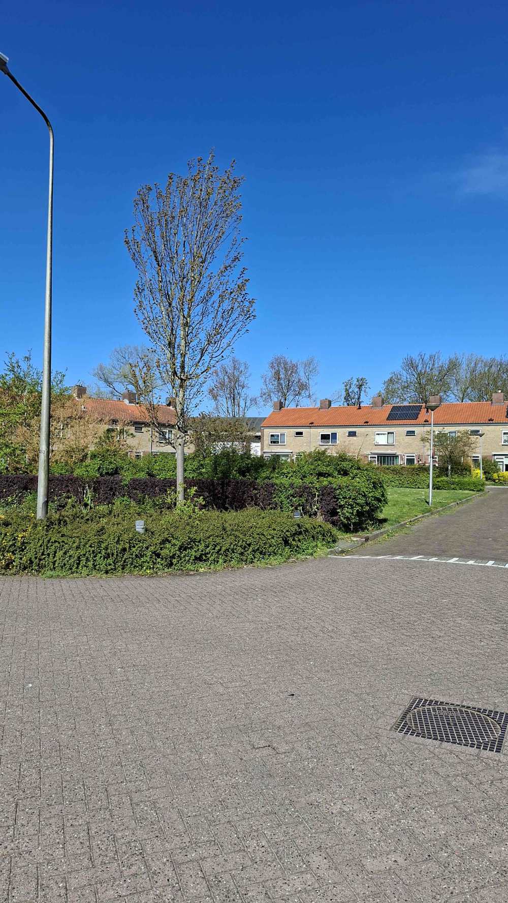 Dominee J. Schardamstraat 19