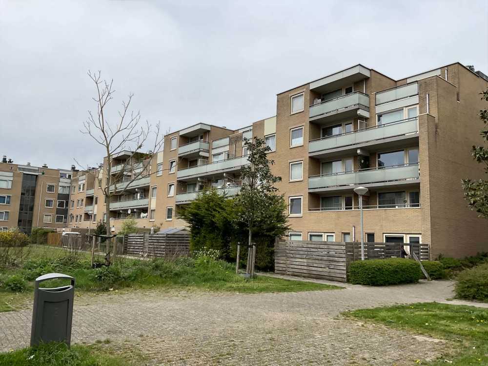 Kneppelweg 68