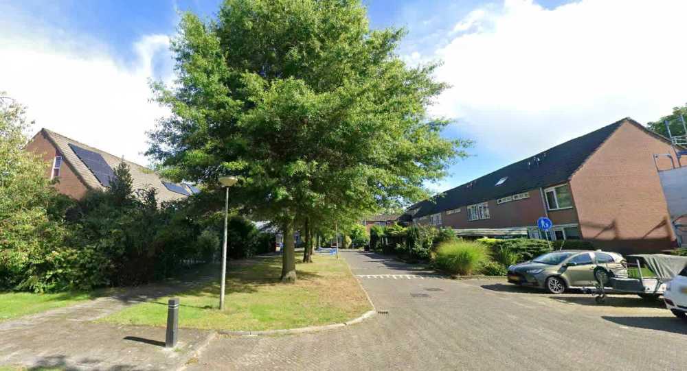 Kattestaart 19