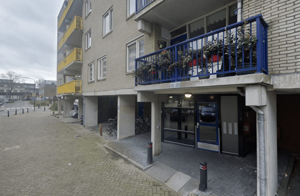Bisonspoor 310