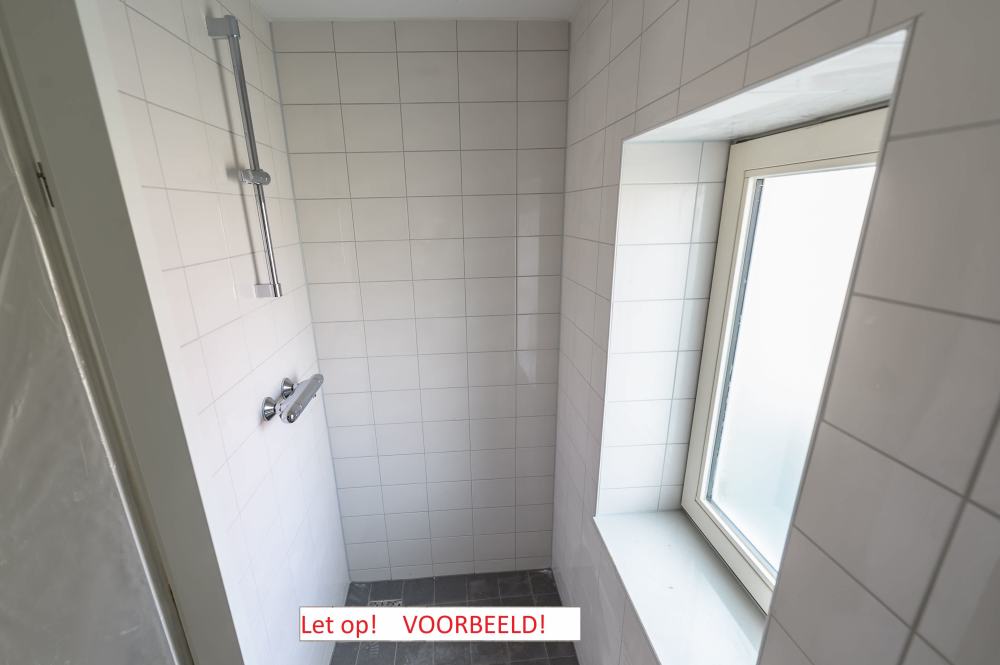 Tulpstraat 44