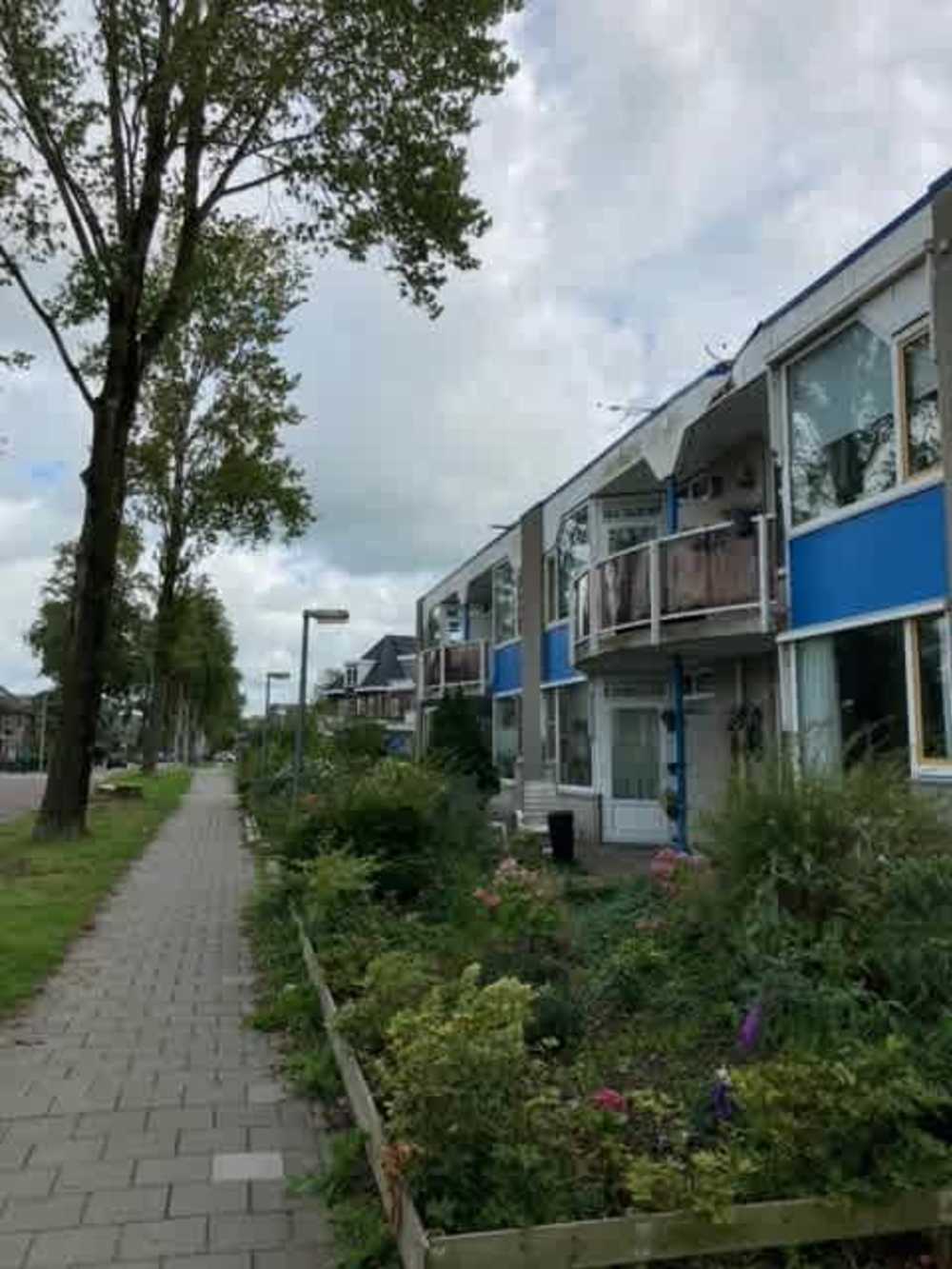 Zamenhofstraat 67