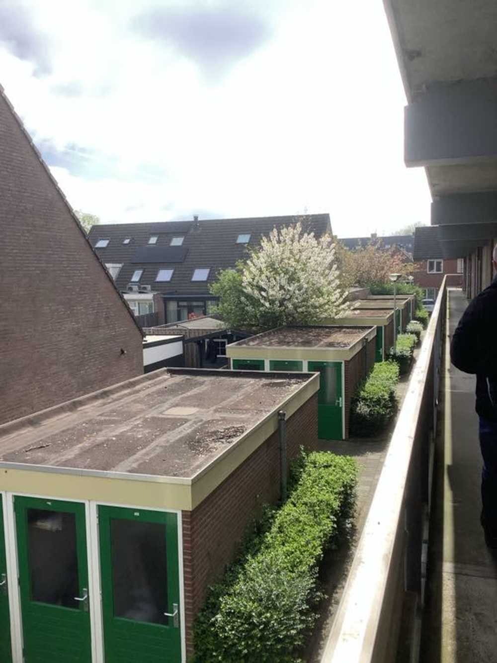 Haagbeukhof 106