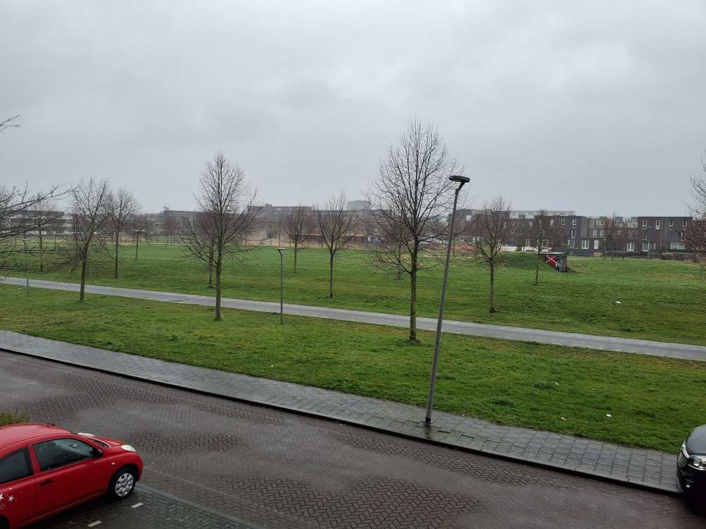 David Livingstonestraat 1