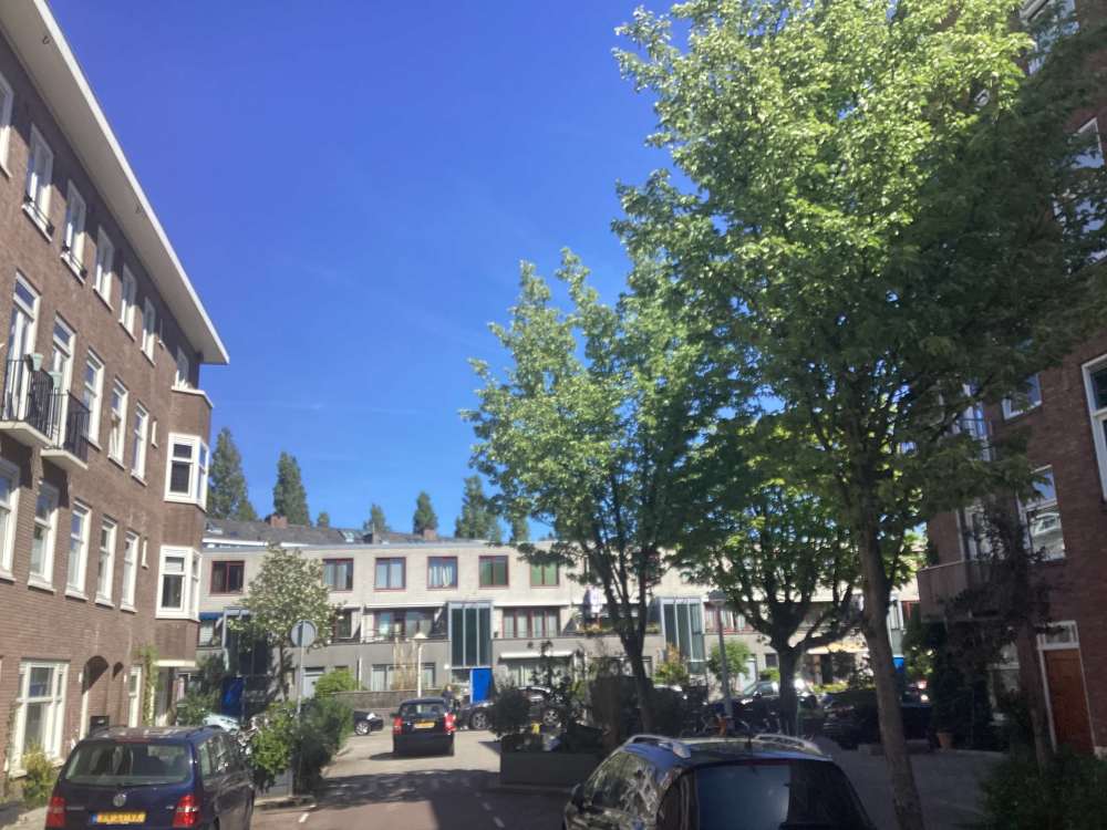 Alblasstraat 12
