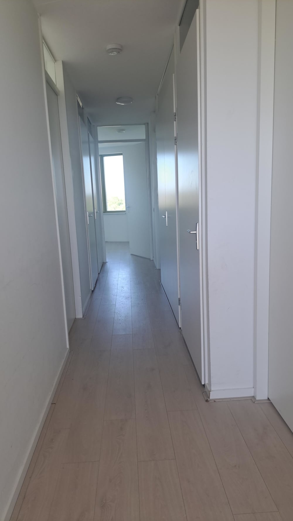 Het Betonijzer 174