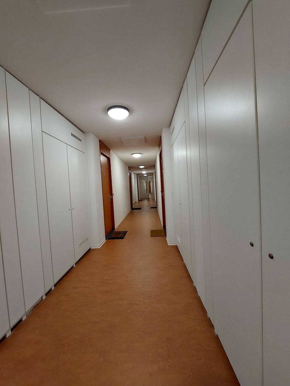 Zilverplevierstraat 107