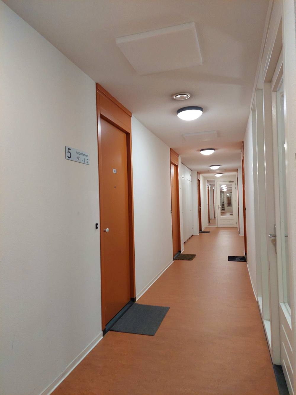 Zilverplevierstraat 107