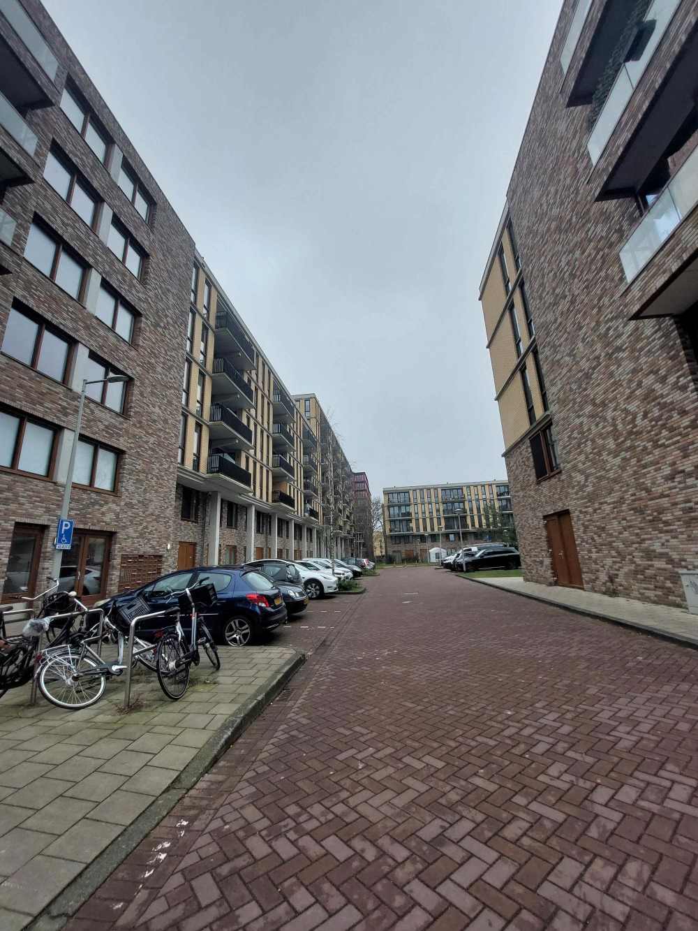 Zilverplevierstraat 107