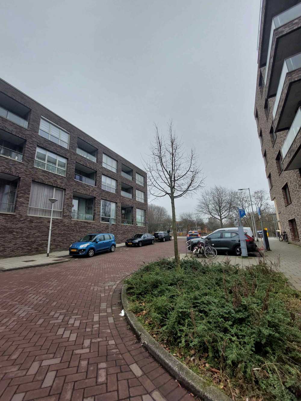 Zilverplevierstraat 107