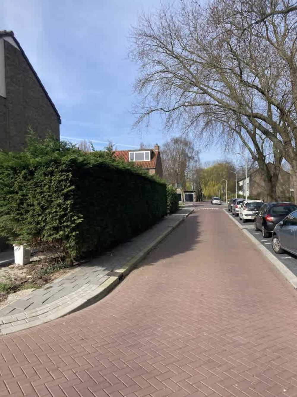 Roodborststraat 8