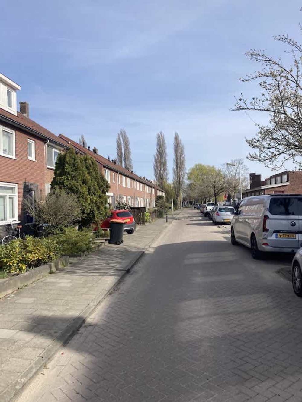 Tulpstraat 3