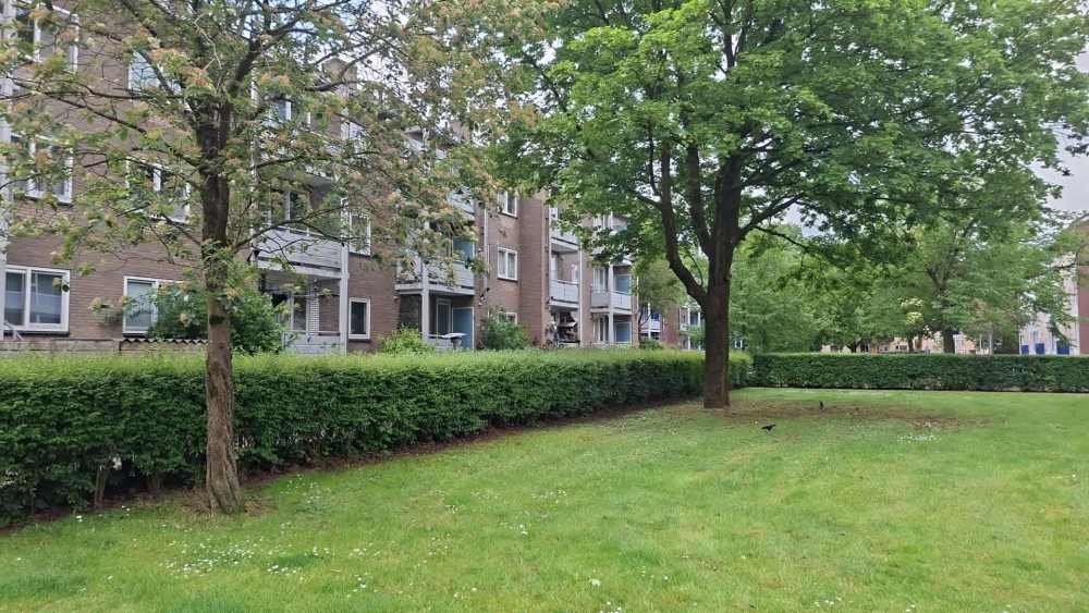 Erfgooiersstraat 375