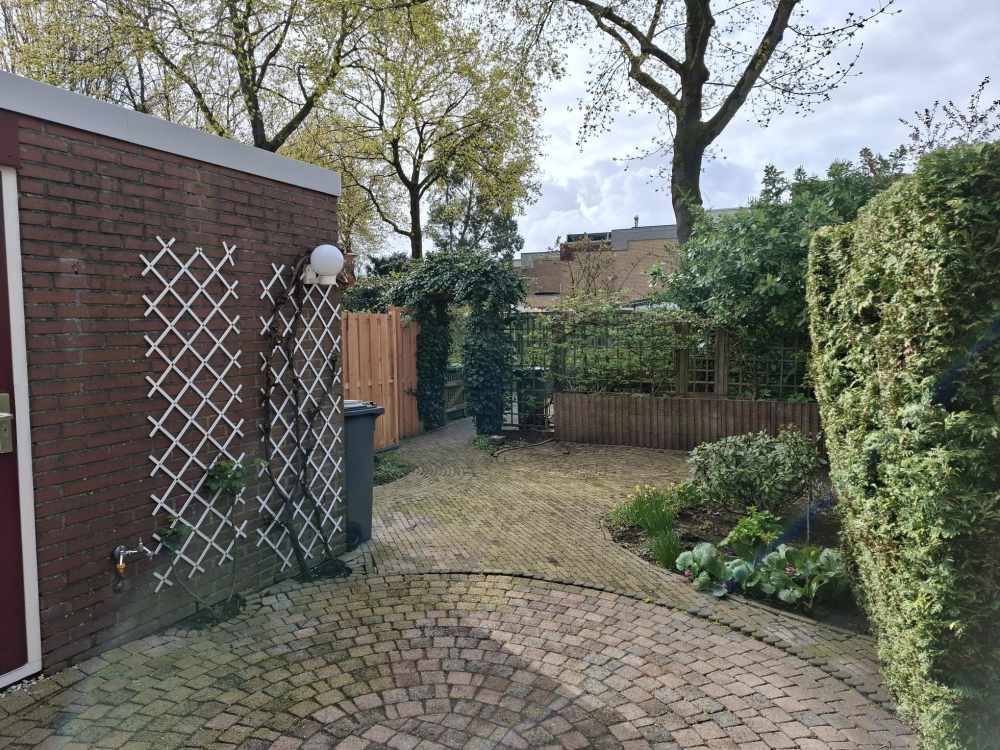 Wintergroen 48