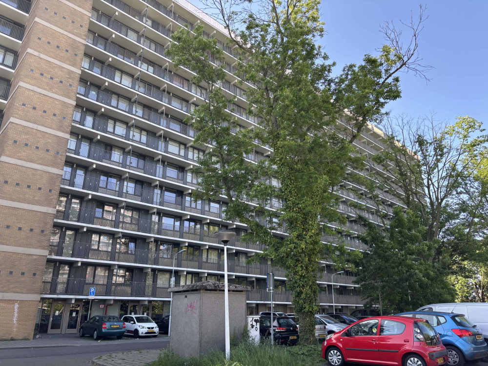 Indigostraat 260, 1503 NH Zaandam, Nederland