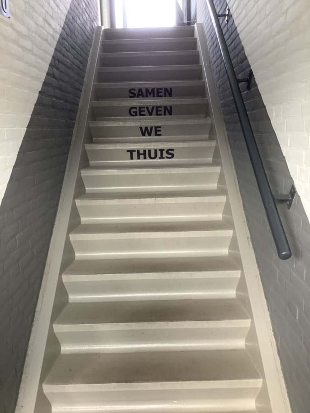 Ganzerik 80