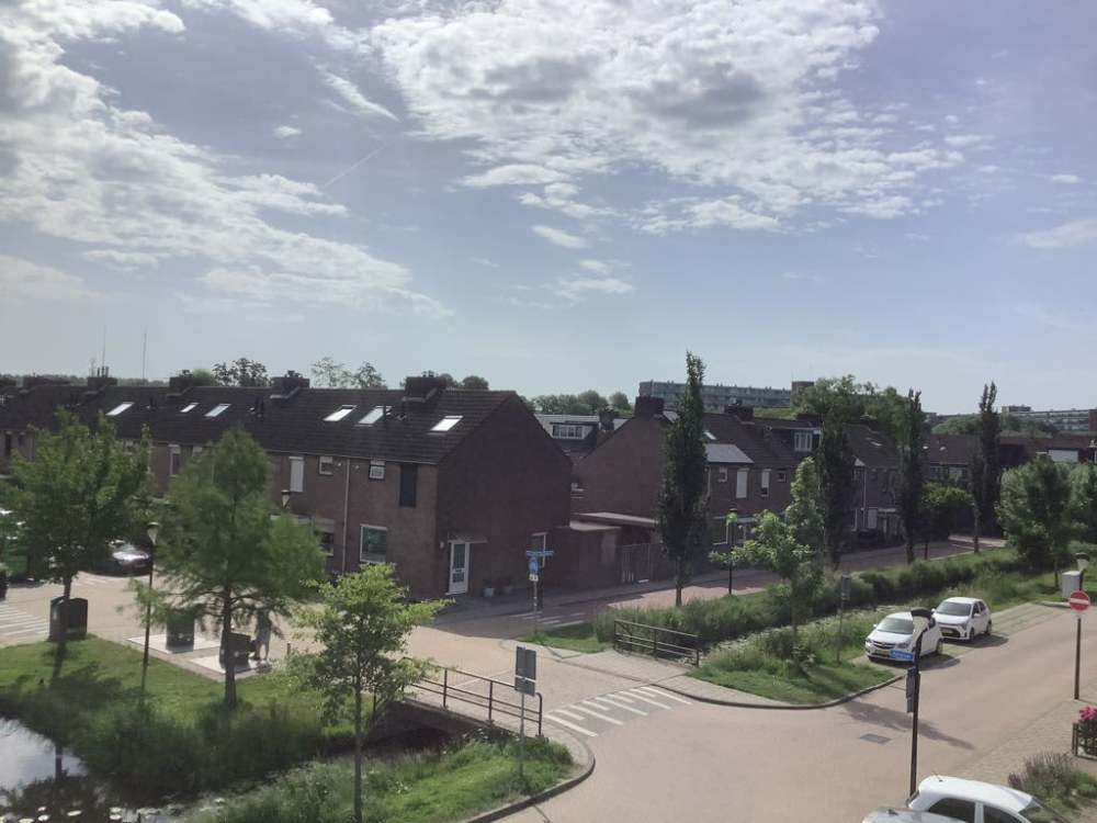Ganzerik 80