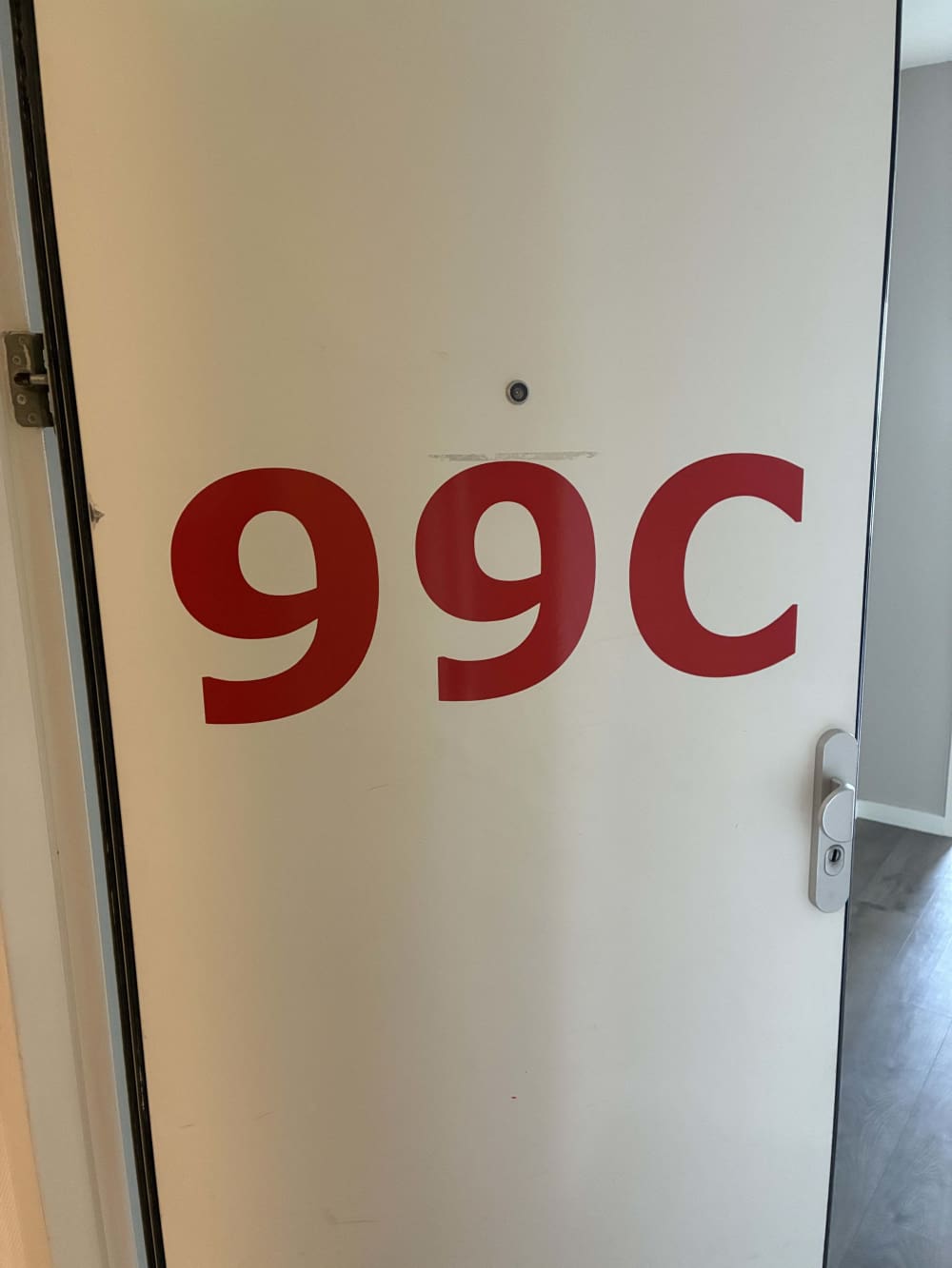 Faas Wilkesstraat 99E