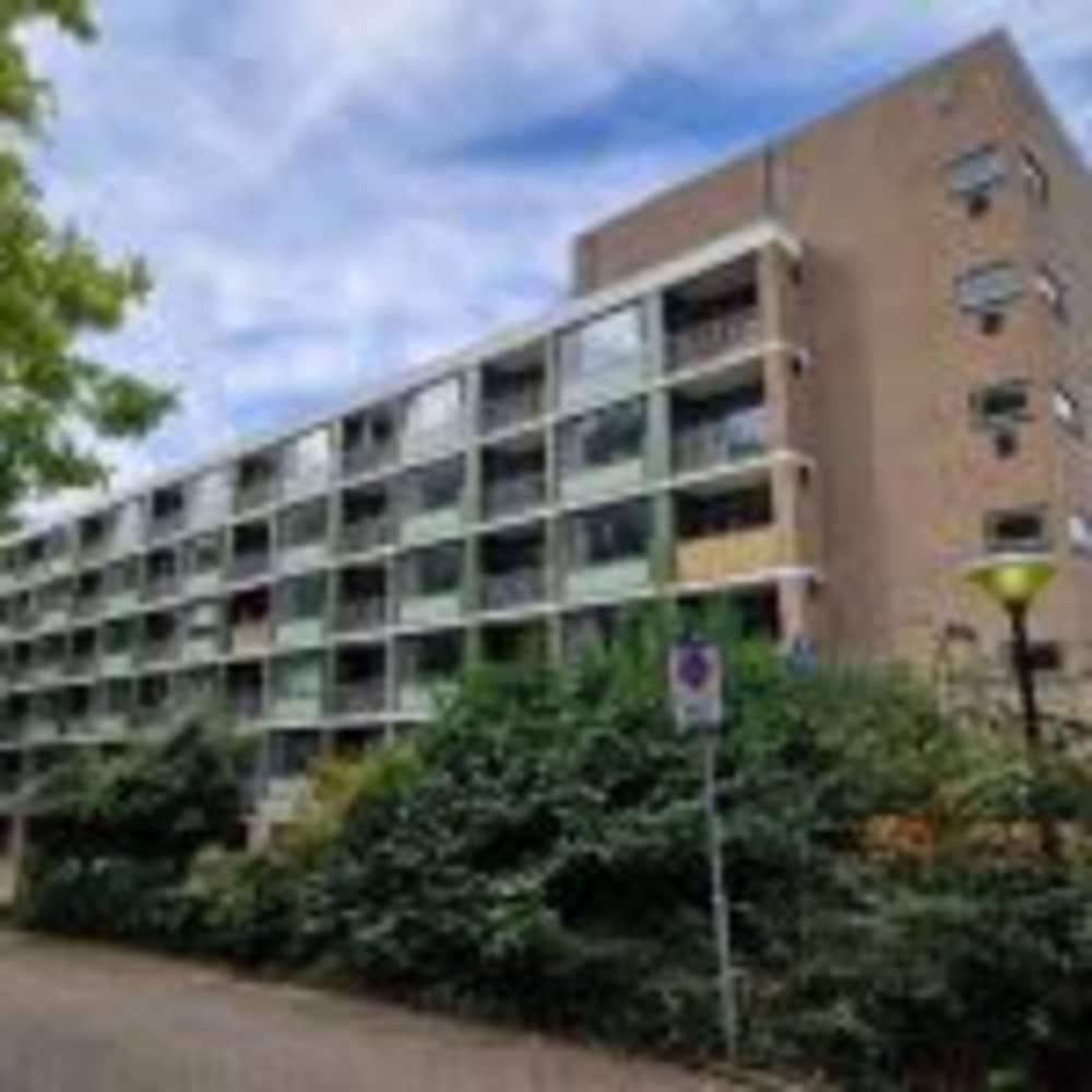 Iepenlaan 266