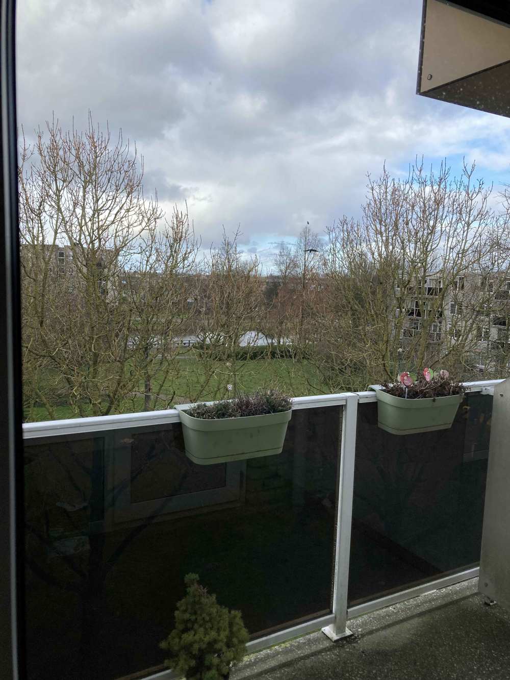 Elsbroekplantsoen 109