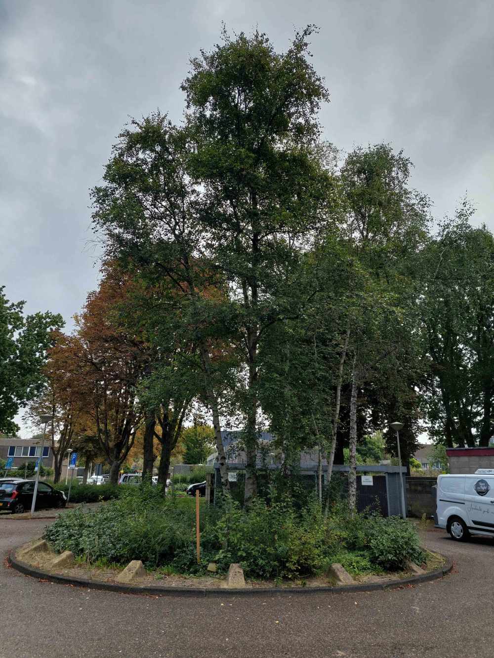 Garstkamp 249