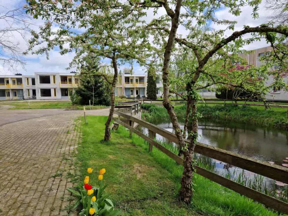 Bloemhof 79