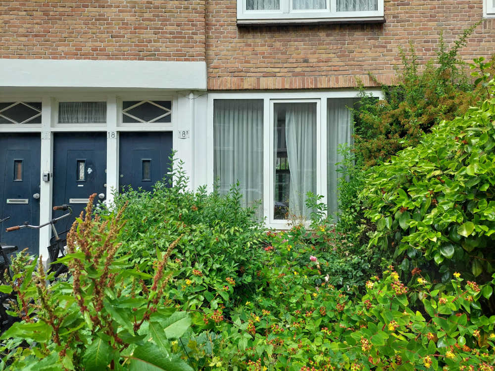 Borssenburgstraat 18III
