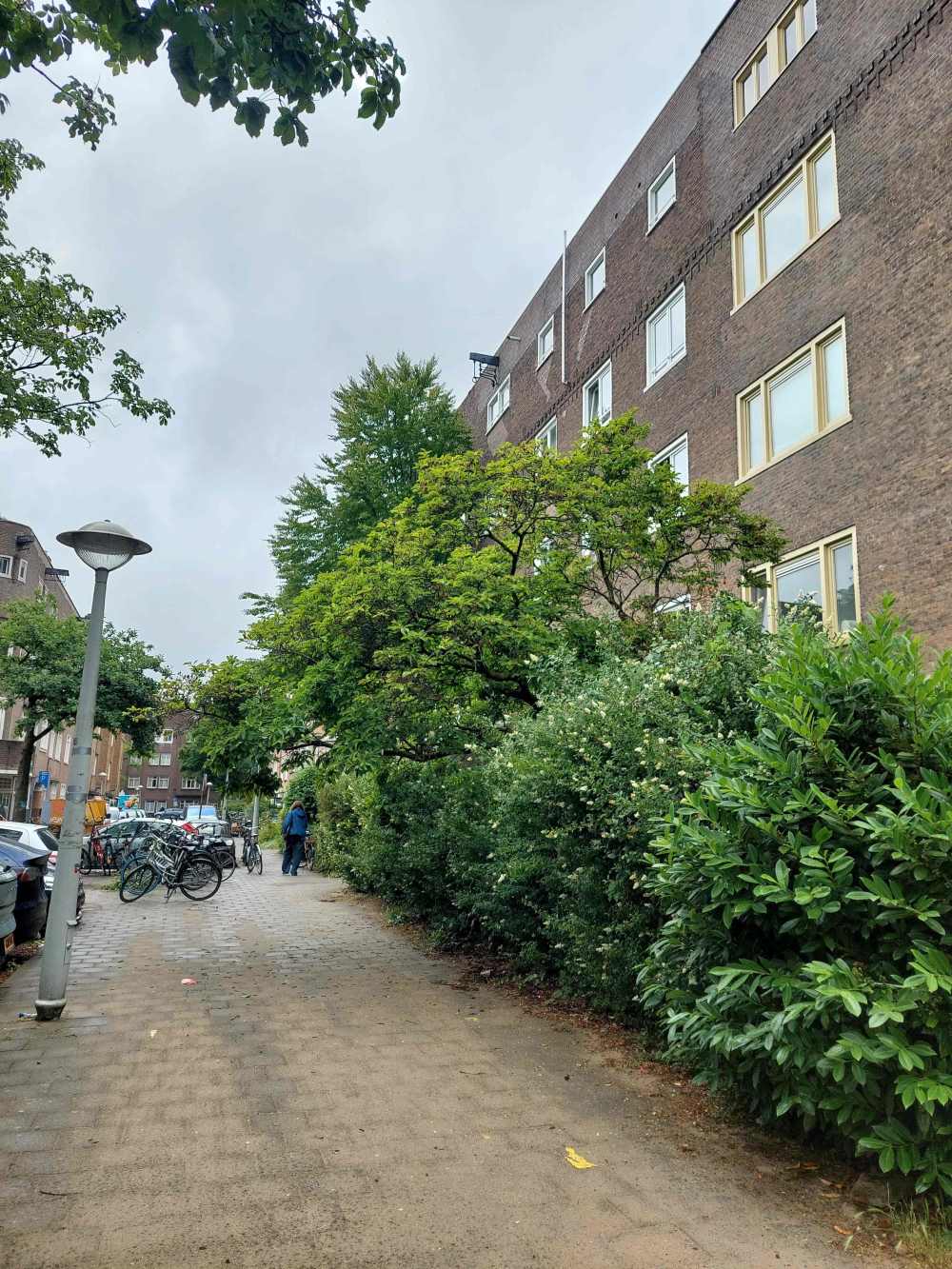 Borssenburgstraat 18III