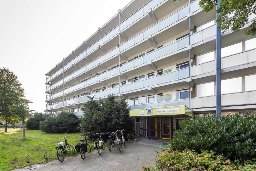 Tuinfluiterstraat 71