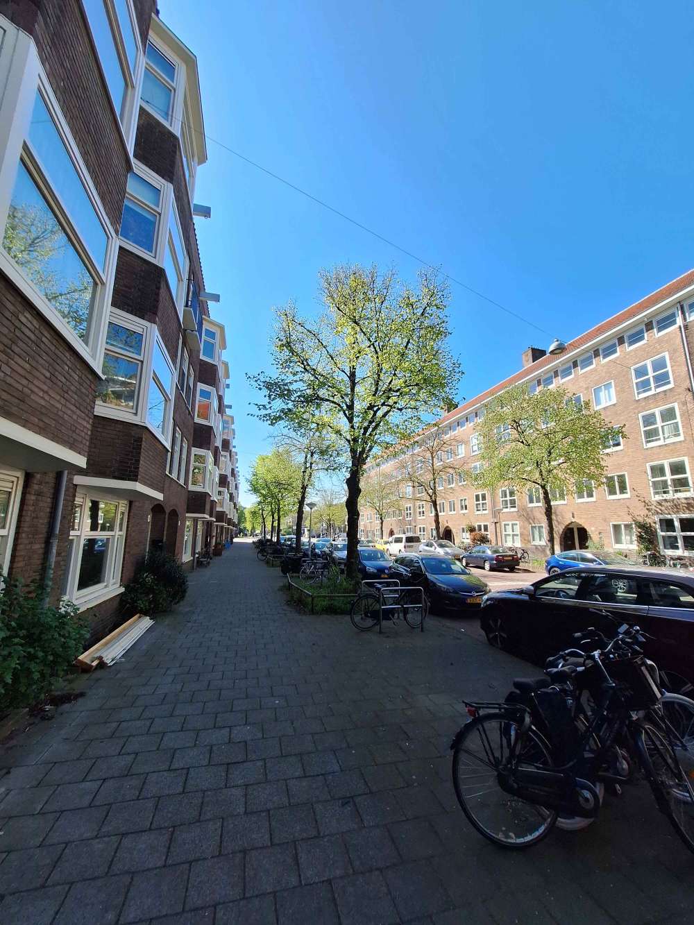 Maasstraat 195