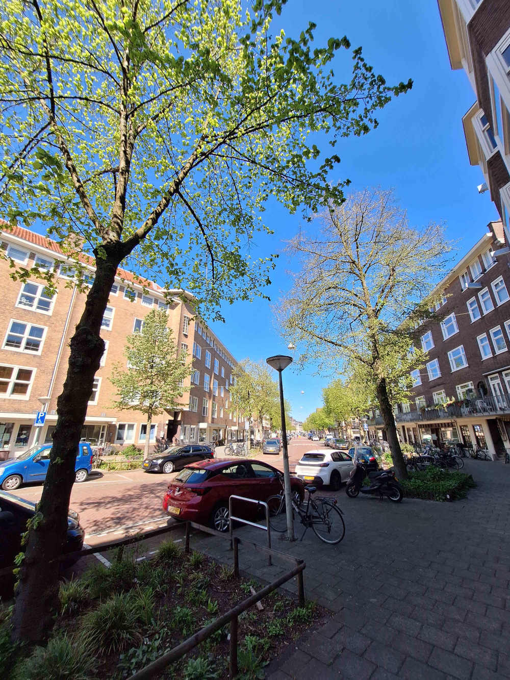 Maasstraat 195