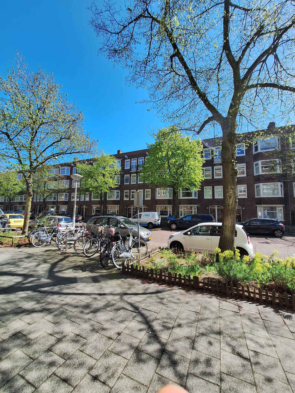 Maasstraat 195