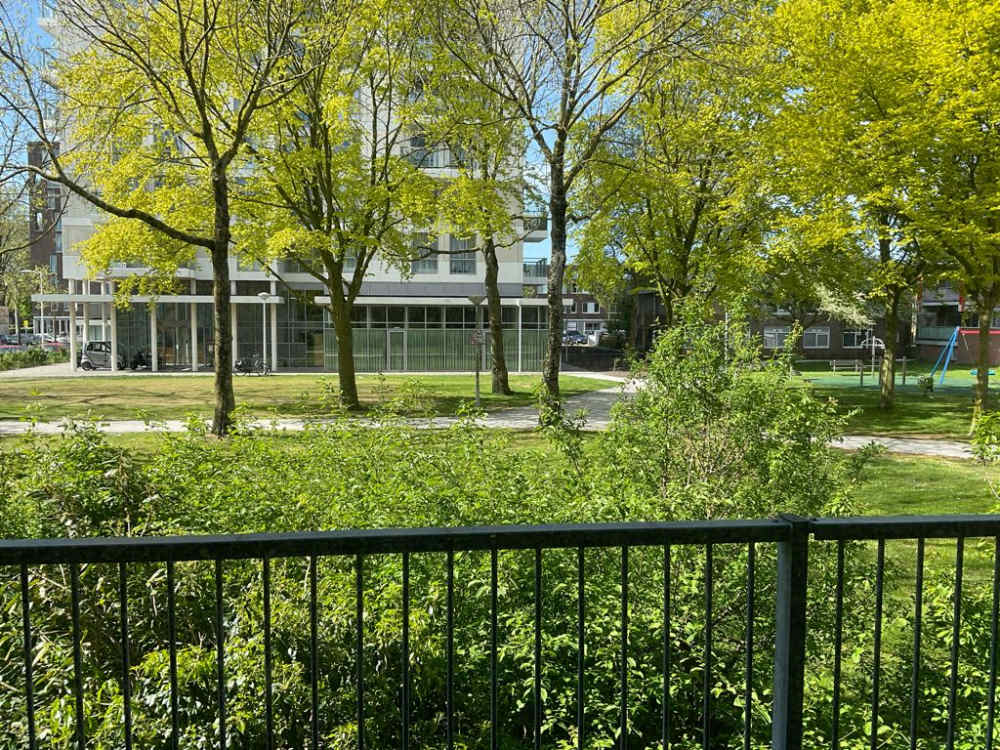 Bezaanjachtplein 196