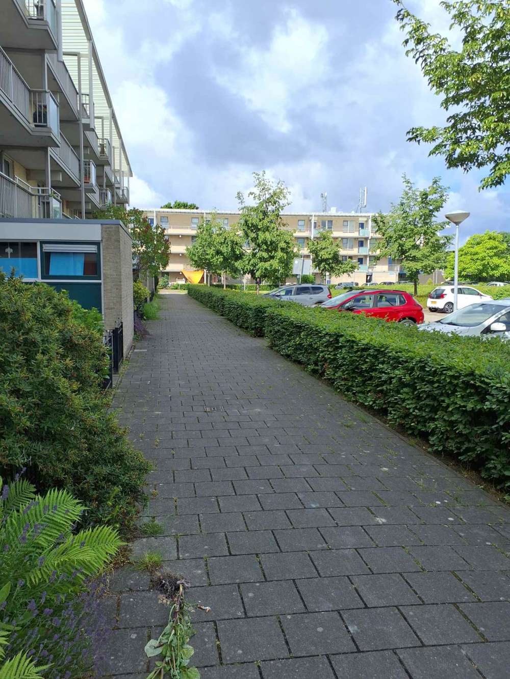 Haaiplein 25