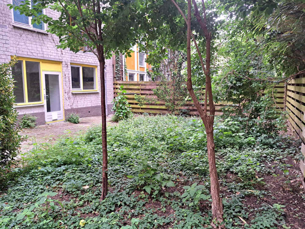 De Wittenstraat 10A