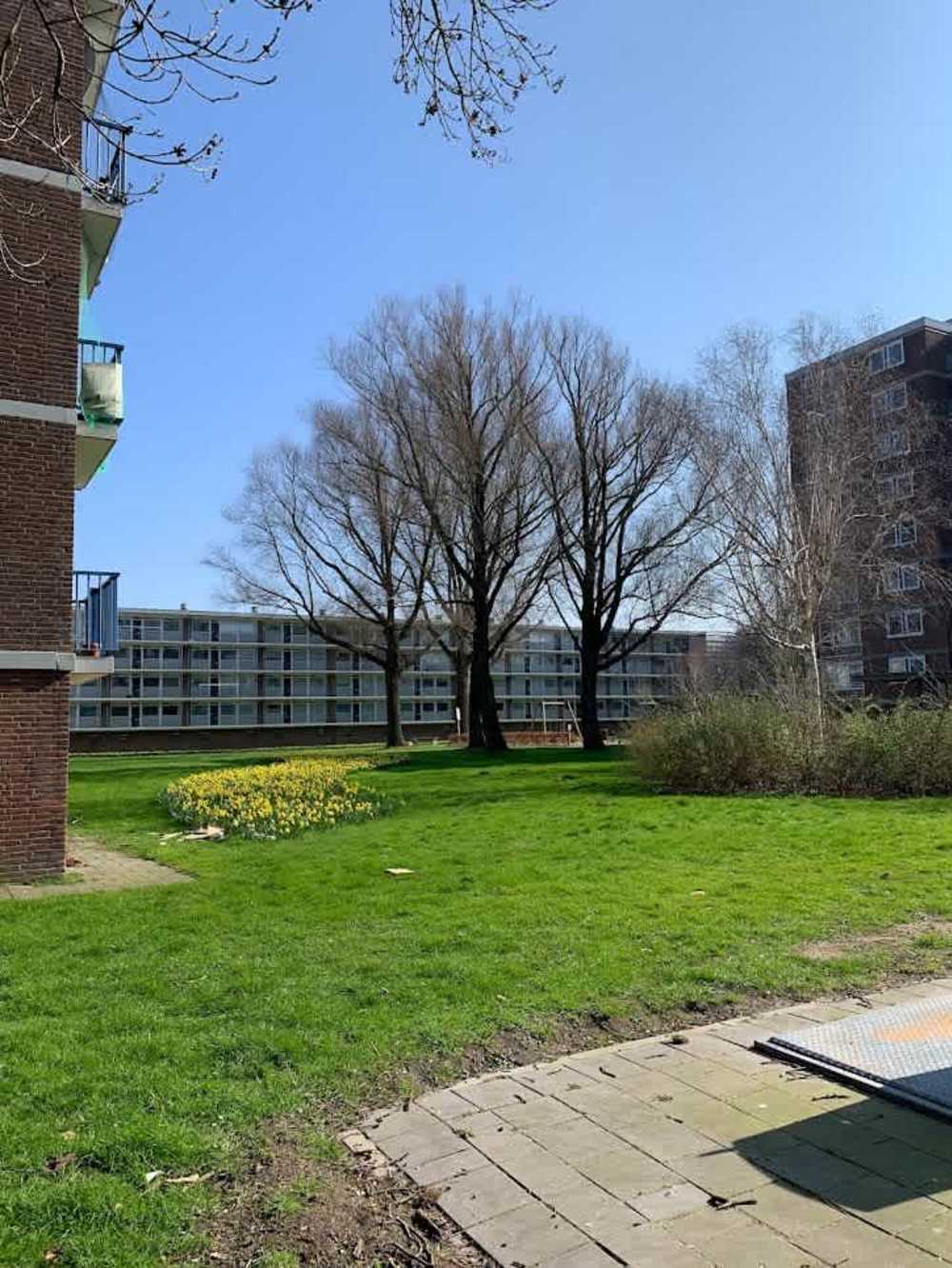 Lobeliusstraat 72
