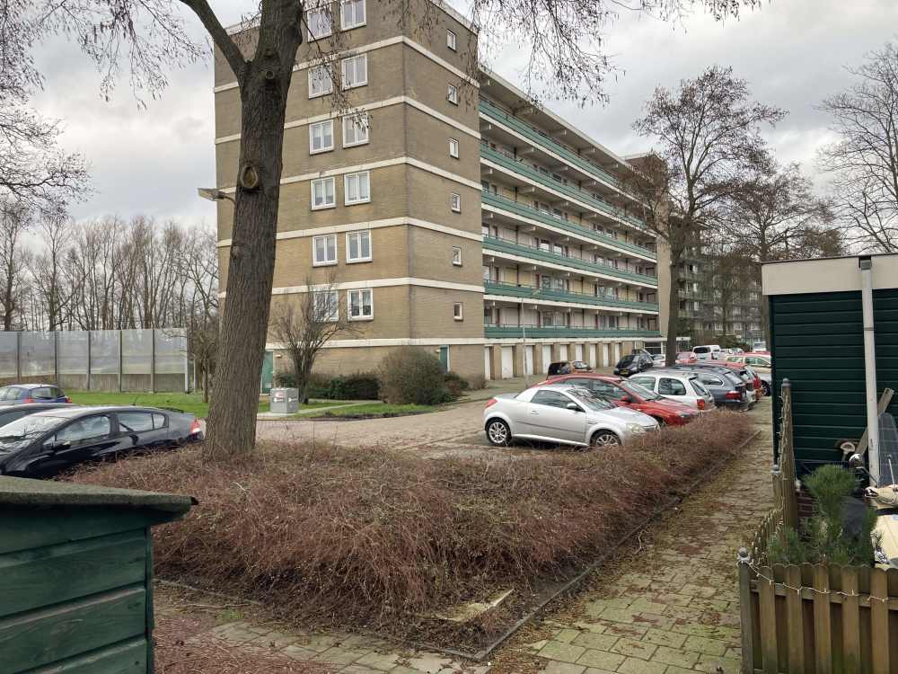 Morgenstarstraat 105