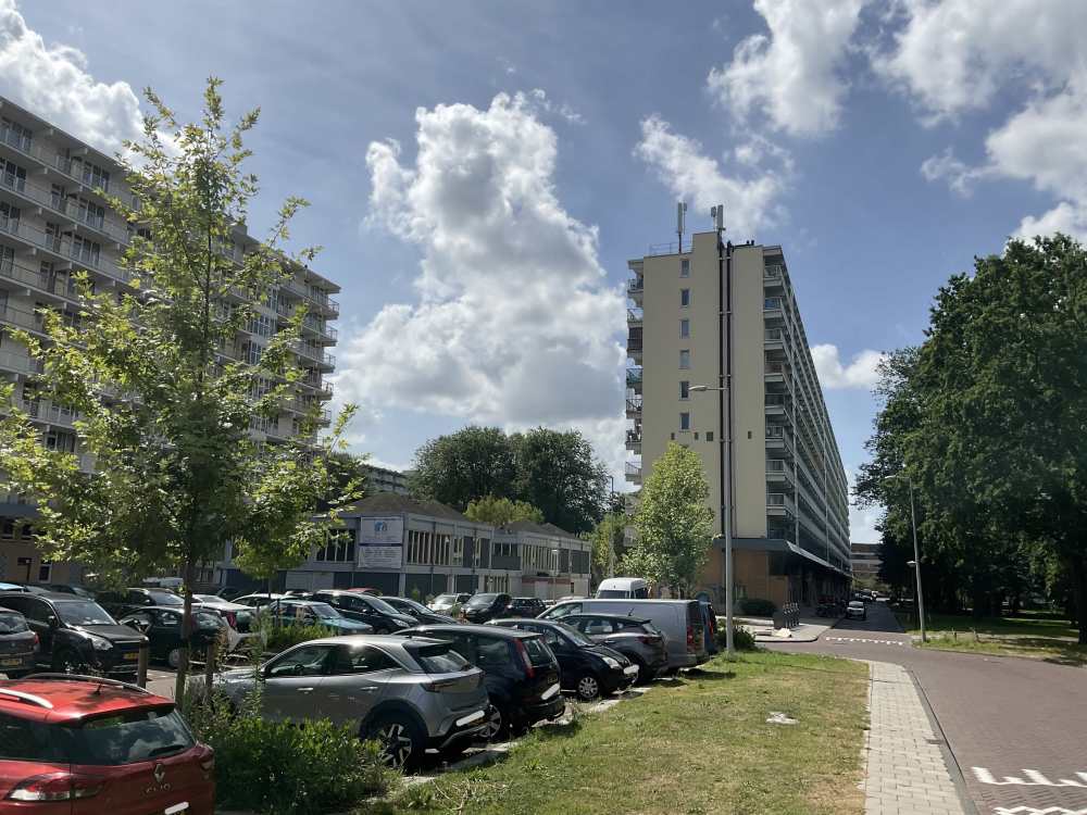 Hofgeest 232