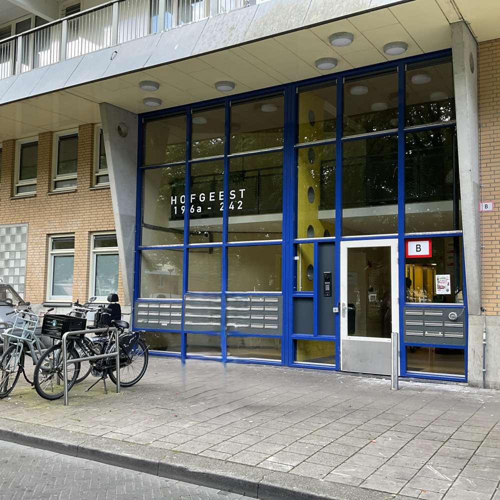 Hofgeest 232