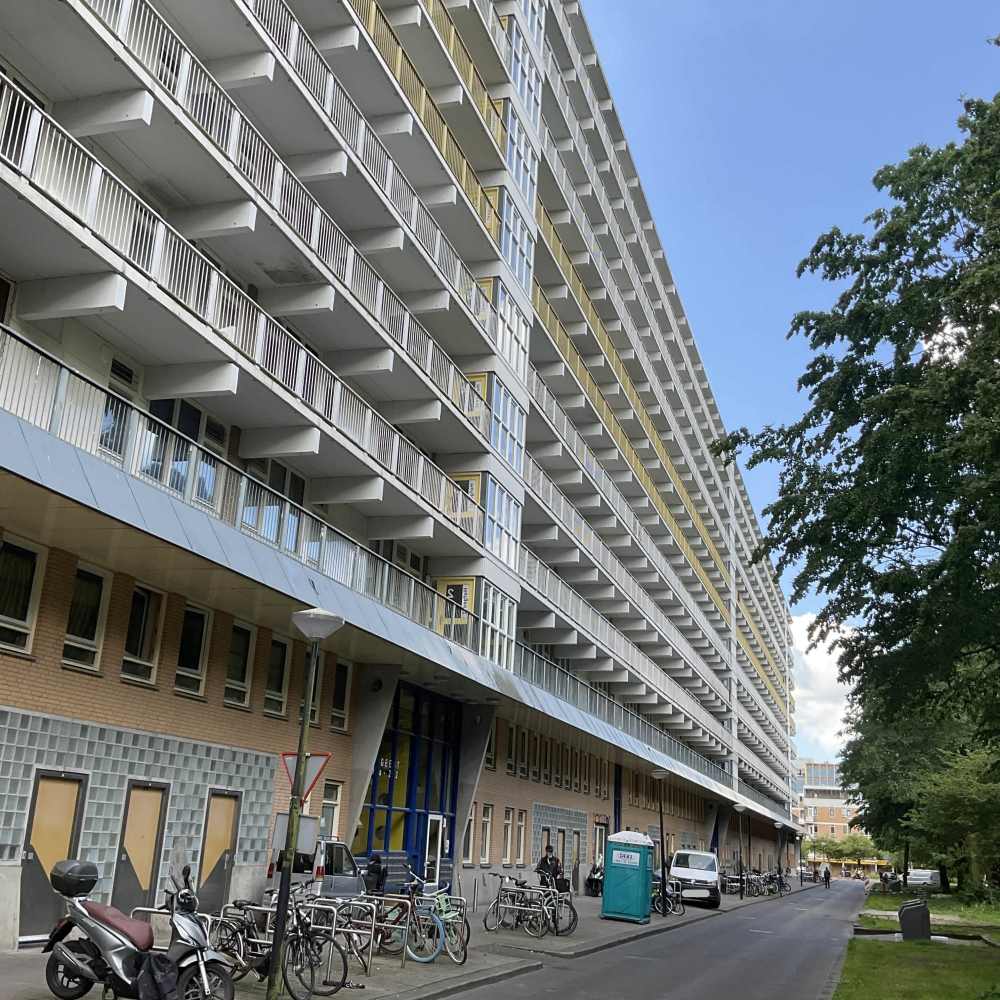 Hofgeest 232
