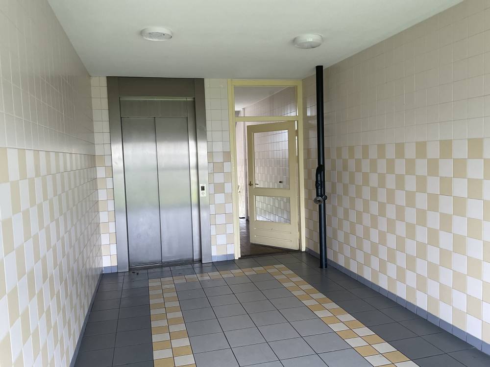 Hofgeest 232