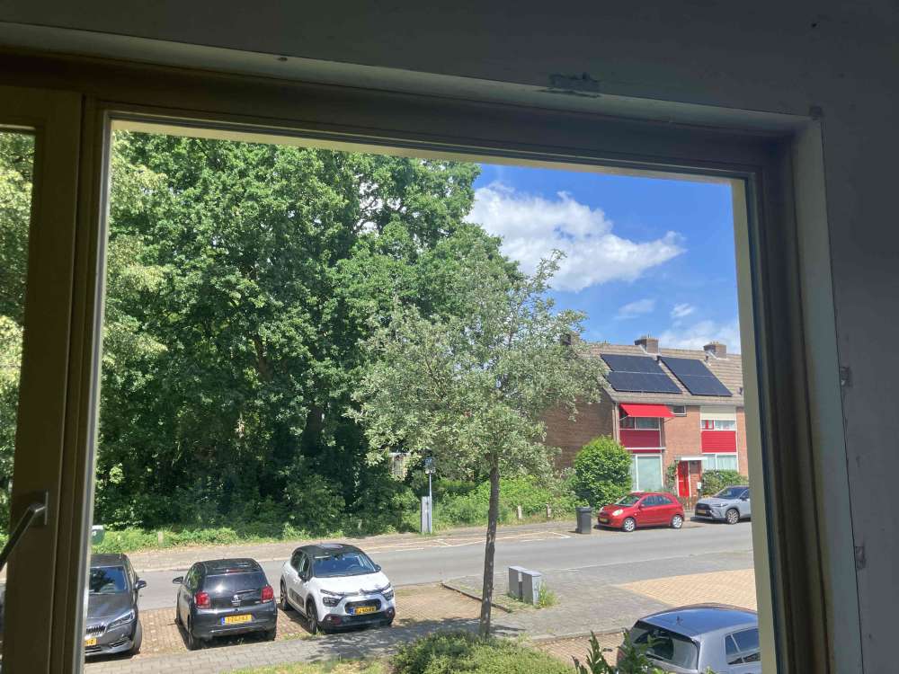 De Dennen 100