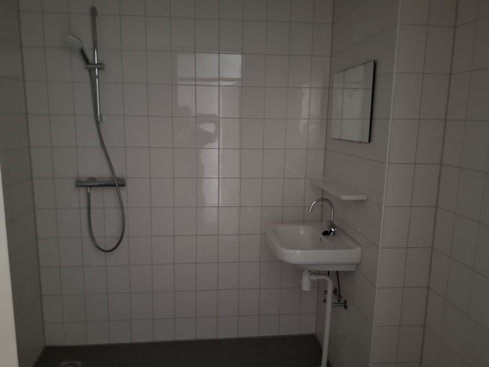 Beeldhouwerpad 120