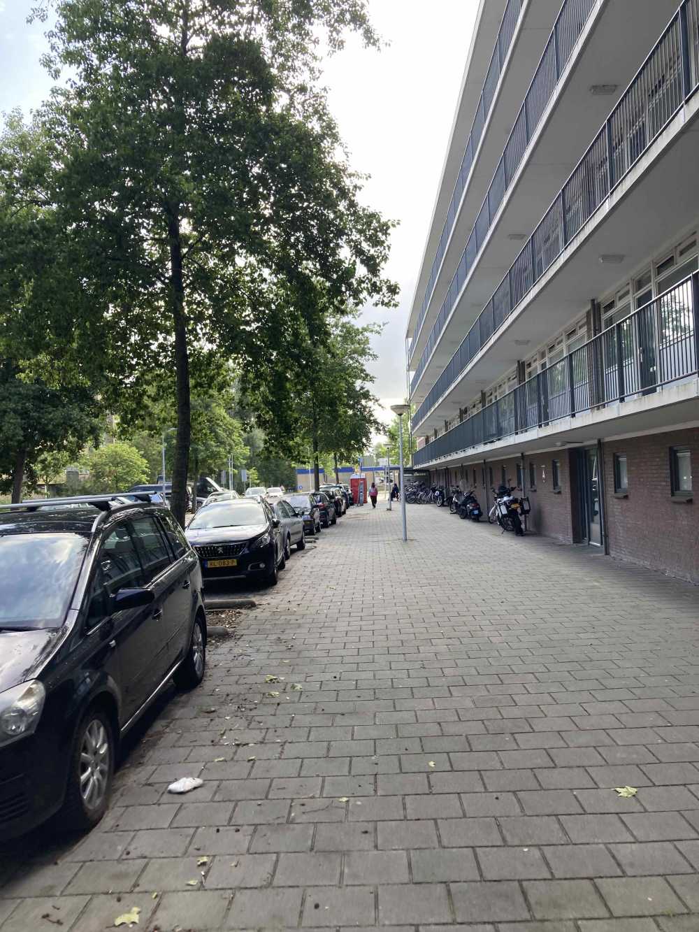 Lobeliusstraat 128