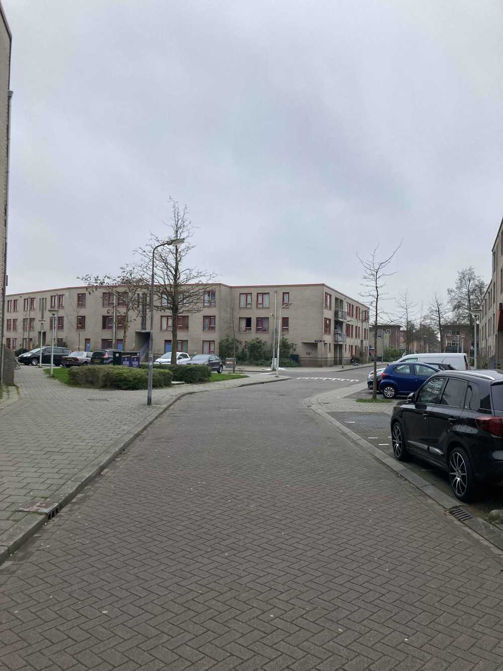 Blokschaaf 102
