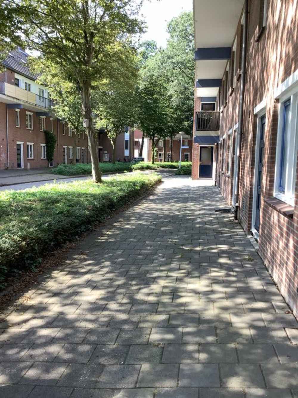 Haagbeukhof 4