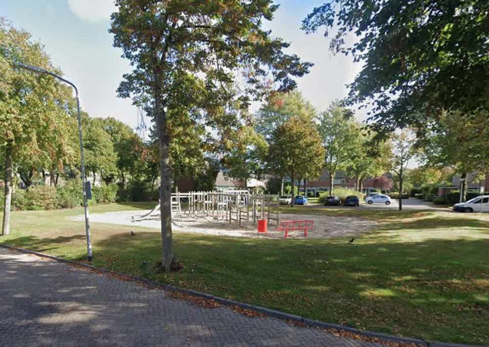Zegge 10
