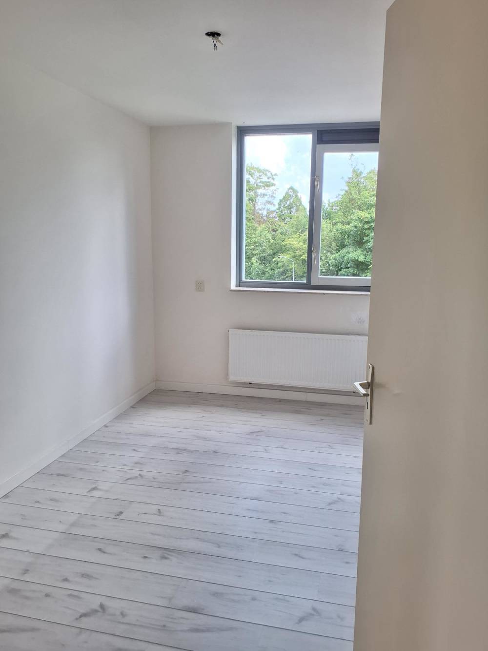 Ruiterstraat 59