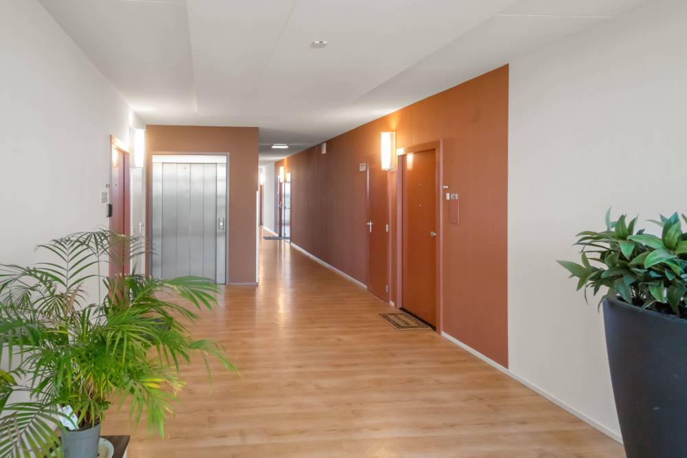 Weerdestein 283